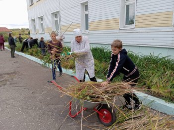 Санитарная пятница