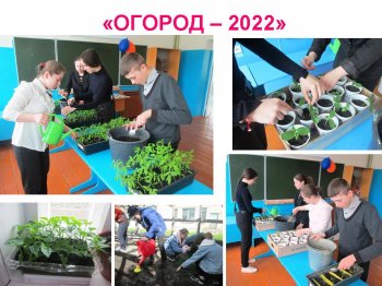 Огород 2022