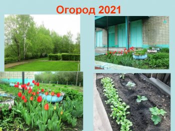 Огород 2021 