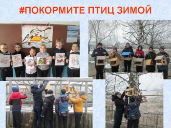 #ПОКОРМИТЕ ПТИЦ ЗИМОЙ